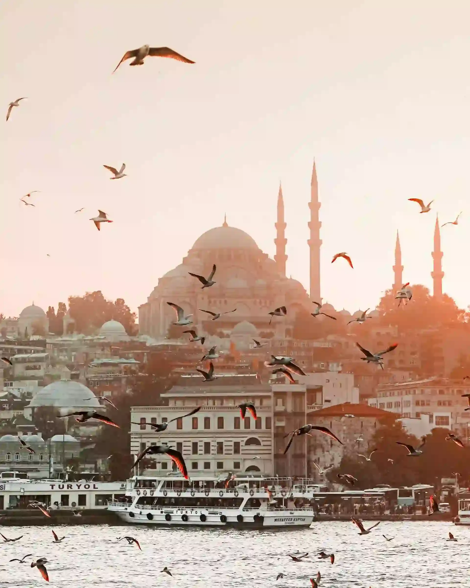 imgi_57_pexels caner cankisi 3999943 1